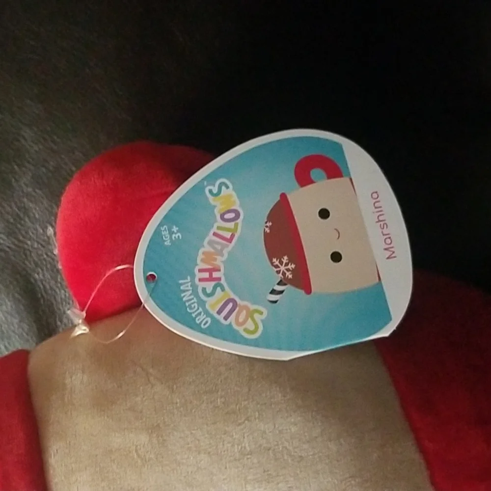 Squishmallows brand new